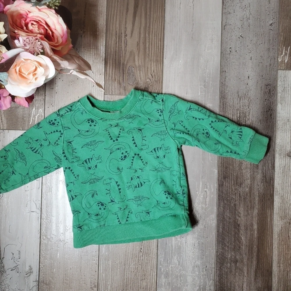 Carter's Green T-Rex Dinosaur Fleece Pullover Sweatshirt Boys Size 18m EUC